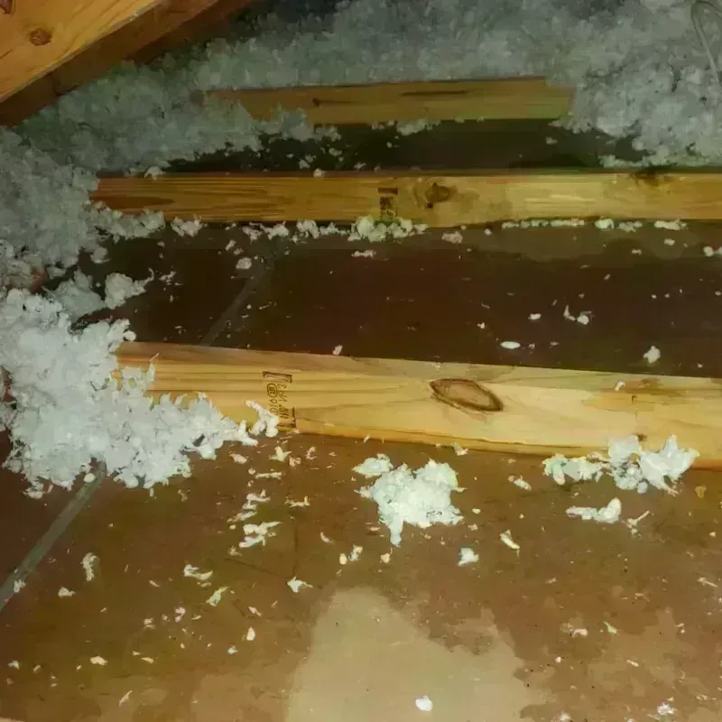 Attic Water Damage in Phillipsburg, KS