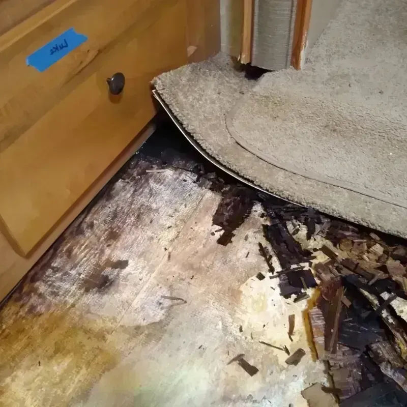 Wood Floor Water Damage in Phillipsburg, KS